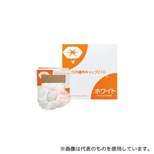 t@[XgCg FR-210 ISsDzLbv zCg 1P[X(100×10)