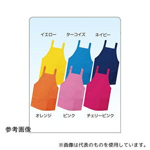 t@[XgCg FR-5803 V[gGv lCr[