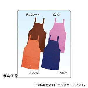 t@[XgCg FR-5808 V[gGvC lCr[