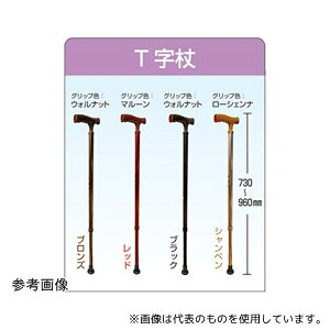 t@[XgCg FR-5837 A~LkTEx[VbN ubN