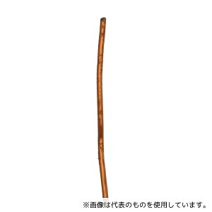 ˂ Gi(~j) #24×8 1Zbg(8×10pbN)