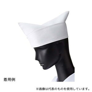 T[H(TybNXCXg) 17 RbN aXq zCg M