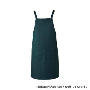 T[H(TybNXCXg) AN1847  Gv O[ F