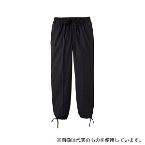 T[H(TybNXCXg) H2099 얱 pc ubN M