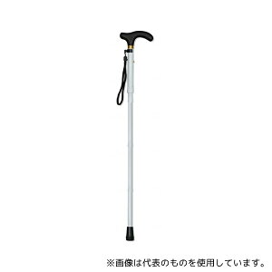 쏤X #2032 A~ g̎xp ܂ݎ