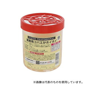 GXe[ A[X Ɩp RoGzCzC 160g