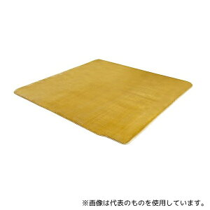 [P ZC-20S dCzbgJ[ybg2p Jo[t