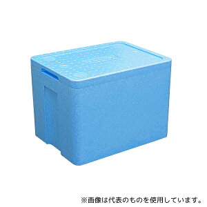 ghTC BCF21BL-6 AX`[N[[{bNX oCIN[tbV21 u[ 6 [@l]