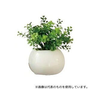 AY 61-780-39-5 tFCNO[ Eh|bg(G}H) t@VFCv