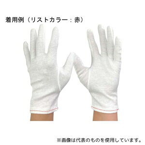 ECZX 1200-M ȃXX }`iV M 1(12o)