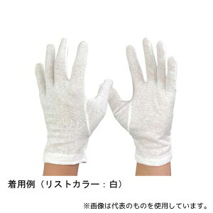 ECZX 2001-L Ci[p Ȏ L 1(12o)