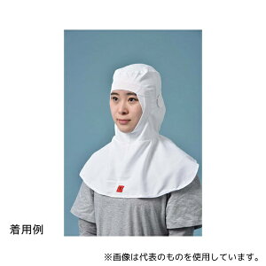  SDF300 ThHttFCXYL(co)zCg LL 1(10)