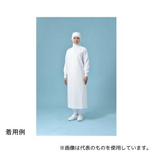  VJ[CH Gv zCg 100 1g(10)
