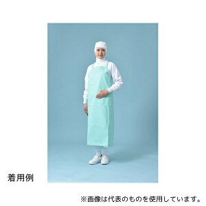  VJ[CH Gv O[ 110 1g(10)