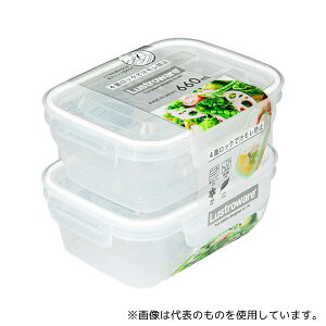 ���H�� A-2161 WH �ۑ��e�� 660ml �X�}�[�g�t���b�v&���b�N�X �p�^ M ���F2�Z�b�g �z���C�g