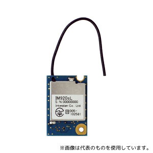 INTERPLAN IM920sL-SK2 }`zbvEʐMΉ 920MHzW[ NCbNX^[gLbg