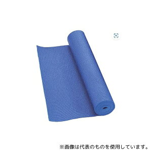 CAPTAIN STAG UR-0865 K}bg (u[) 61cm×173cm×0.3cm