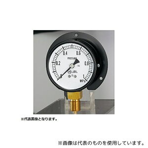 �E�����퐻�� BVT3/8-75X0.1MPA ��ʈ��͌v(�ϐU�p)(G321-211-V) 0�`0.1MPa