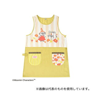 ZgfBX ST-IM0074 [~Gv CG[