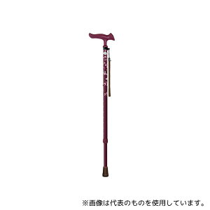 tWz[ WB5130 邪t@II(Lk) ԃC