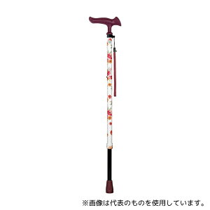 tWz[ WB5217 邪t@II(Lk)ԕzCg