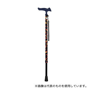 tWz[ WB5218 邪t@II(Lk)ԕlCr[