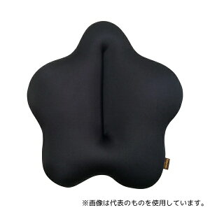 日新化成工業 腰用クッション キュッキュッスタンダード マイカブラック