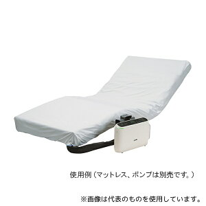 P[v CK-420 NCbNtBbgV[c(R) ({bNX^Cv) 840×2010×180mm