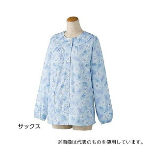 PAt@bV 39921 ㉺ʔpW}(wlp) 傫߃{^㒅 TbNX M