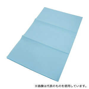 pbN K4A1012 fBX|V[c 1000×1200mm u[ 1(10)