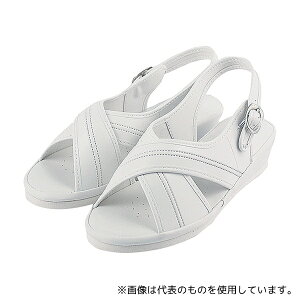 t@[XgCg FR-402 NXT_ zCg L