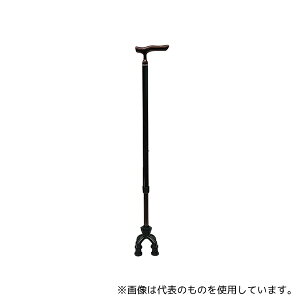 ���i�摜