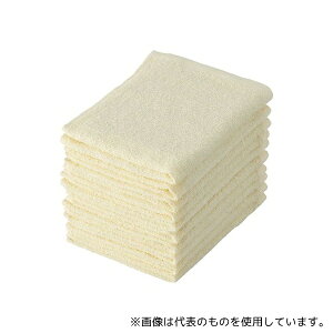 e_C 571241 CgJ[ڂ^I 10g CG[