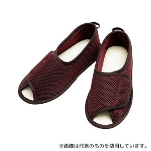 Y 2503 }WbN I[v C LL