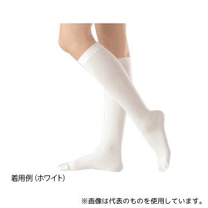 APA 18303 AVNHEroiX nC\bNX zCg S