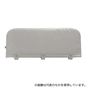 ߗ 100 TCh[NbVJo[ Ж L O[