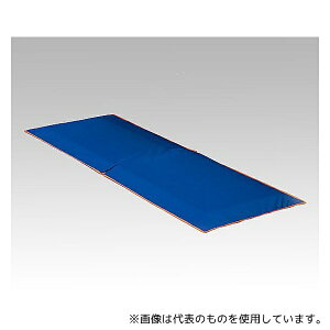 AY 205300AC Ռz}bg nri[X 650×1800×40mm