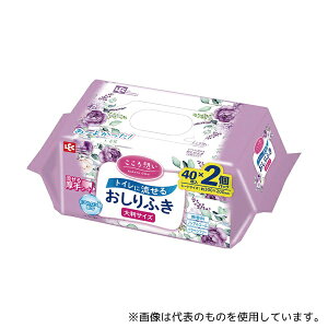 bN E90793 z 邨ӂ 唻40×2P
