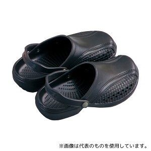 qJZH SA-8 T_(jp)ubN LL