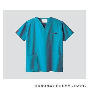 PANTONE(tH[N) 7000SC 3L XNu (jp/EzbN) ^[RCY/3L