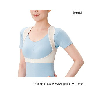 nVEjbg 4806 L VLbƎp␳xg 86`94