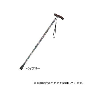 AY B059-608SD-677 Lk(XlbN^Cv) yCY[(p)