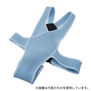 ߗ 4010 Ԉ֎qxg LTCY u[