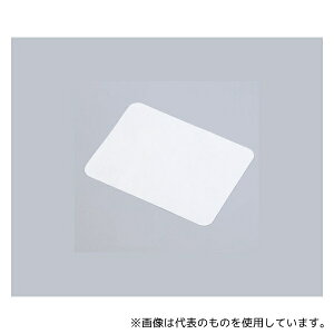 松本製器 No.21 カストシート 200×70mm用 1袋(10枚入)