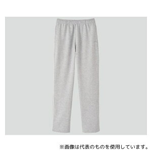 fB[tFCY C-21 W[Wpc(jp) O[ L
