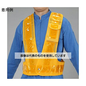 AY(AS ONE) SxXg(@\E/S[h) EA983R-117 F1