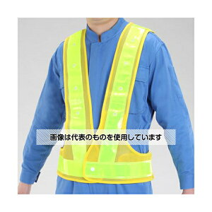 AY(asone) LEDSxXg(rbOTCYE/) EA983R-526 1