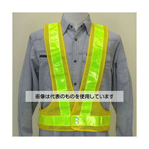 AY(AS ONE) SxXg(~E/) EA983R-128 F1