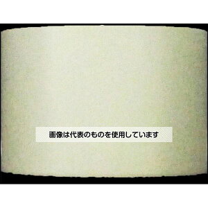 �A�Y����(AS ONE) �p�X�e���J���[�e�[�v(��25mm×5m) �z���C�g MPK2505W �����F1��