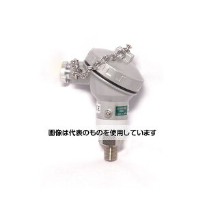 v ̓gX~b^ AiOo4`20mA DC -0.1`0MPa KH15J7317111000XXX0 F1